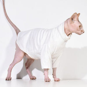 Set white hoodie and  coat for Pets, Dog and Sphynx Hairles Cats
