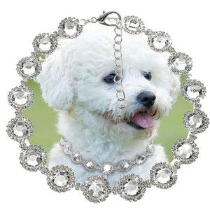 Misterolina Rhinestone Pearl Diamond pet Dog Collar Dog Party Necklace Training Outdoor Comfortable Dog Necklace For Pet PDA3999
