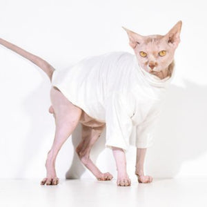 Set white hoodie and  coat for Pets, Dog and Sphynx Hairles Cats